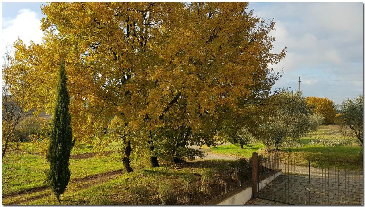 Villino Cortona: Tuscan Retreat with Private Pool and Wi-Fi Exterior photo